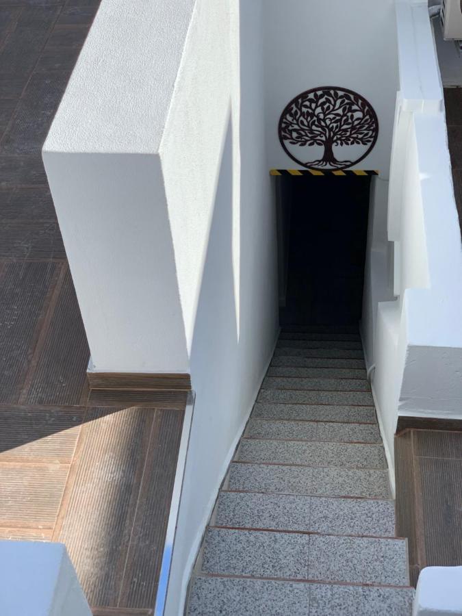 Casa Oliveira Olhao Villa Dış mekan fotoğraf